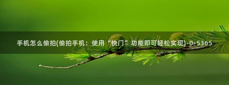 小说区图片区偷拍区