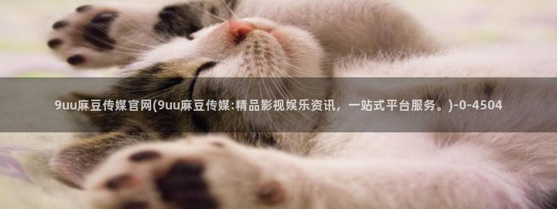 麻豆视频 资源入口：9uu麻豆传媒官网(9uu麻