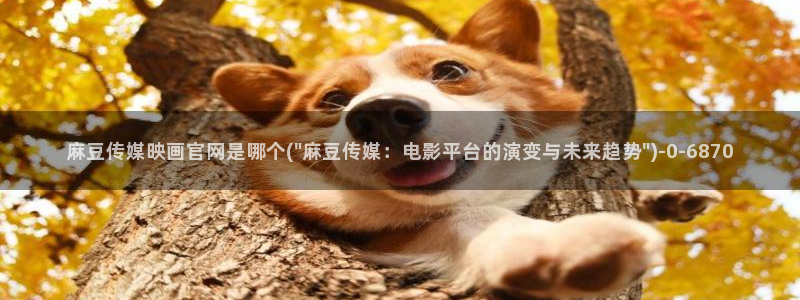 麻豆视频热门视频：麻豆传媒映画官网是哪个(\