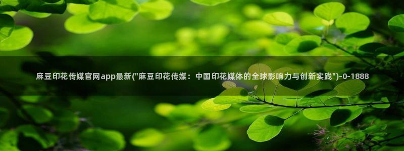 麻豆高清最新：麻豆印花传媒官网app最新(\