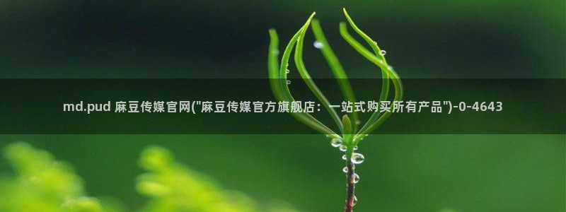 麻豆视频 内容入口：md.pud 麻豆传媒官网(