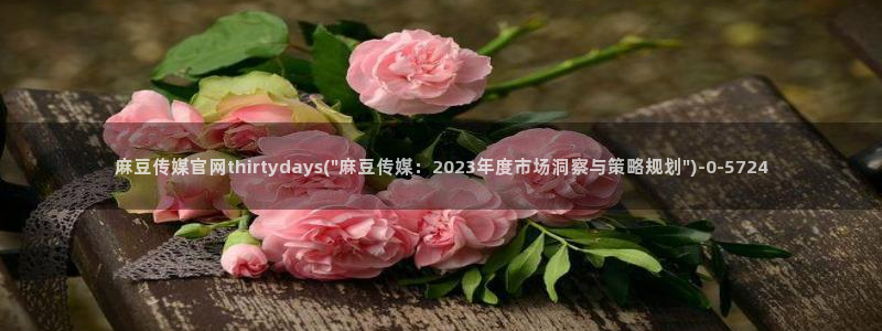 麻豆视频在线看导航：麻豆传媒官网thirtydays