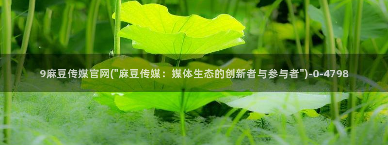 麻豆视频 专区：9麻豆传媒官网(\