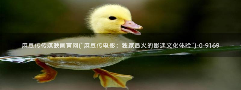 麻豆视频 下载页面：麻豆传传媒映画官网(\