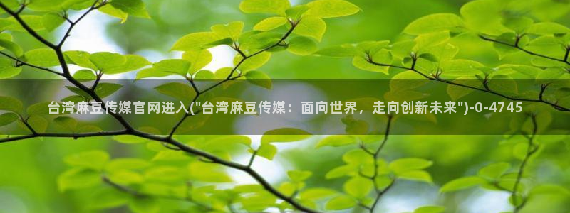 麻豆视频更新专区：台湾麻豆传媒官网进入(\