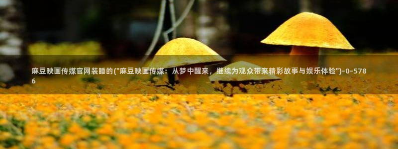 麻豆视频合集完整版：麻豆映画传媒官网装睡的(\