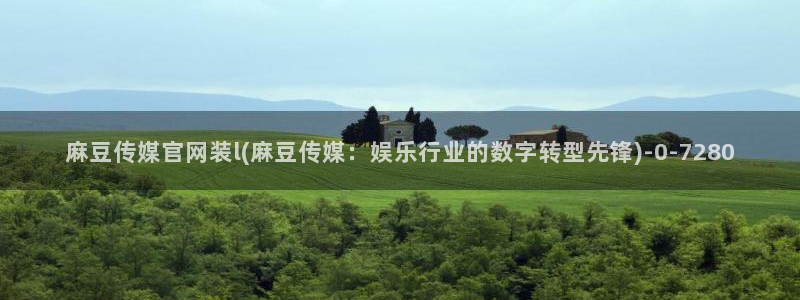 麻豆视频 系列专区：麻豆传媒官网装l(麻豆传媒：