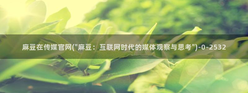 麻豆高清下载：麻豆在传媒官网(\