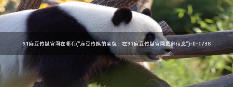 麻豆官方资源：91麻豆传媒官网在哪有(\