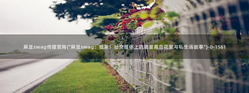 麻豆视频 高清合集：麻豆swag传媒官网(\