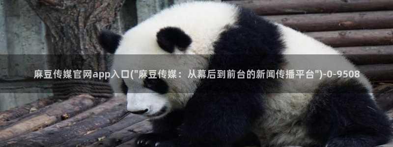 麻豆 最新完整版