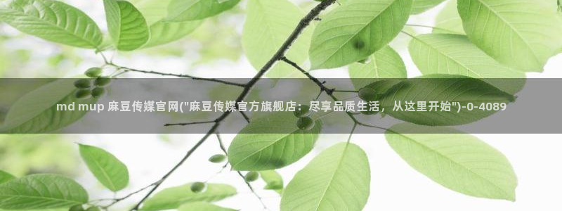 麻豆官方专区