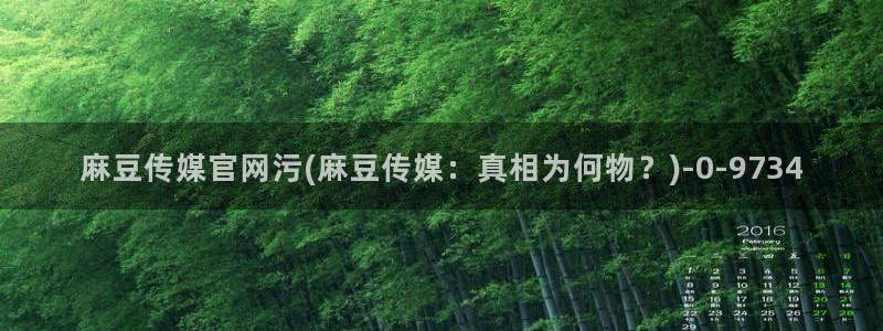 麻豆 更新资源：麻豆传媒官网污(麻豆传媒：真相为何物？)