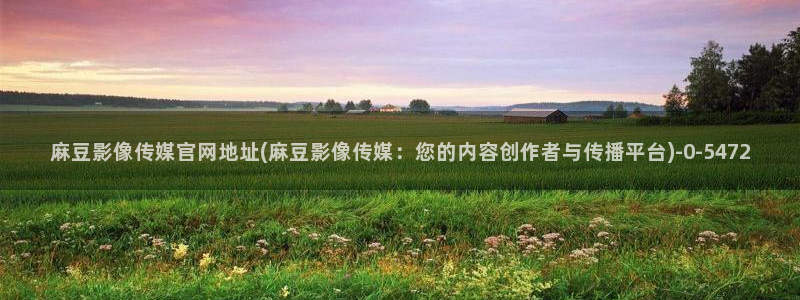 麻豆视频最新在线看