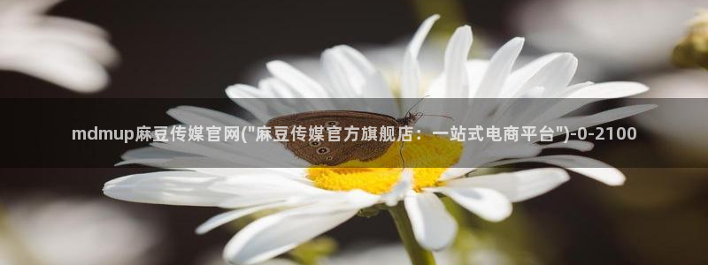 麻豆视频 热门视频：mdmup麻豆传媒官网(\