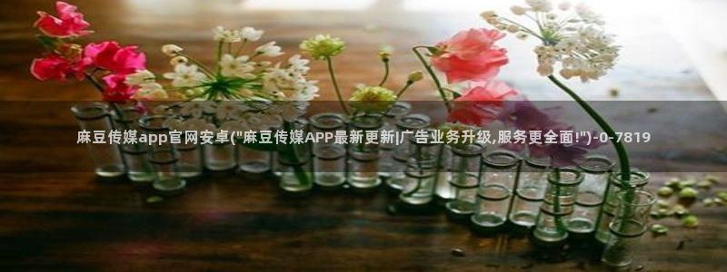 麻豆视频更新导航：麻豆传媒app官网安卓(\