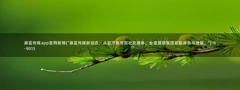 麻豆 完整版：麻豆传媒app官网微博(\