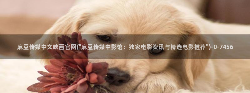 麻豆 官方入口