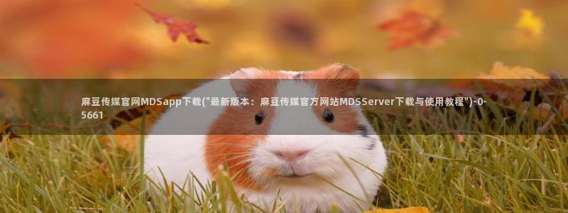 麻豆视频热门专区