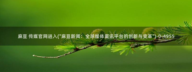 麻豆视频官方资源